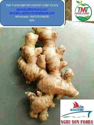 Farm Fresh Young Ginger