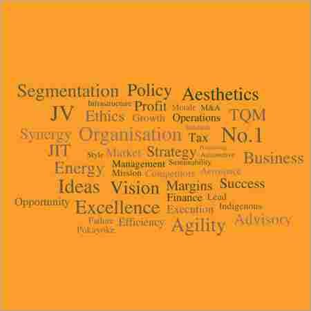 Managment Consulting Services