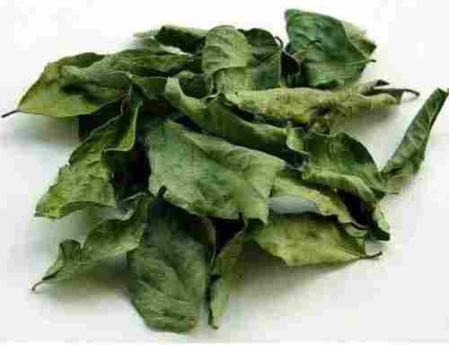 Natural Dried Curry Leaves