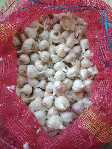 Round Moisture Proof Fresh Garlic