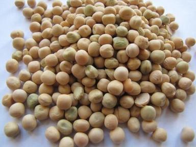 Common White Pea Seeds (50 Kg Per Pack)
