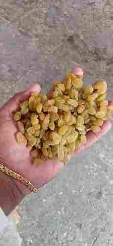100% Pure Natural Dried Raisins