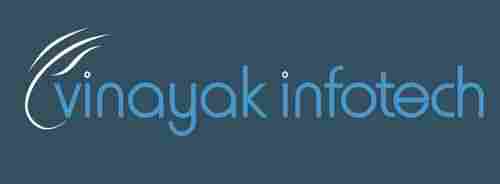 Vinayak Infotech Website Designing And Software Development Services