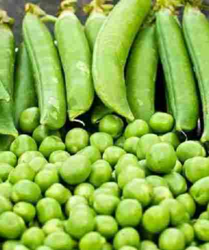 1 Kg Common Cultivated Fresh Green Peas