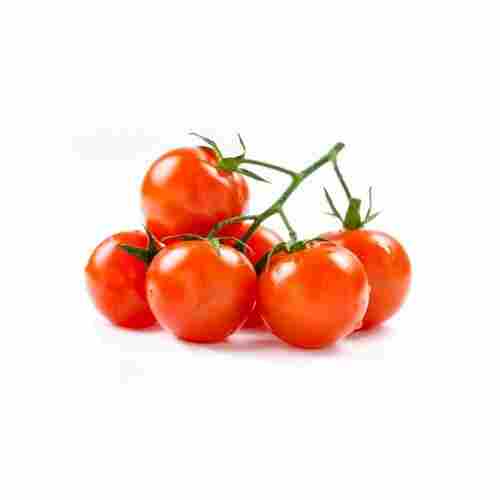 Round Shape Naturally Grown Fresh Healthy Red Cherry Tomato