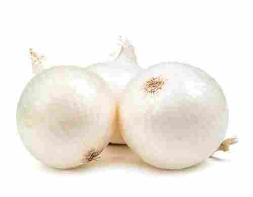 Hygienically Processed Compound Preserved Round Freshest White Raw Onions