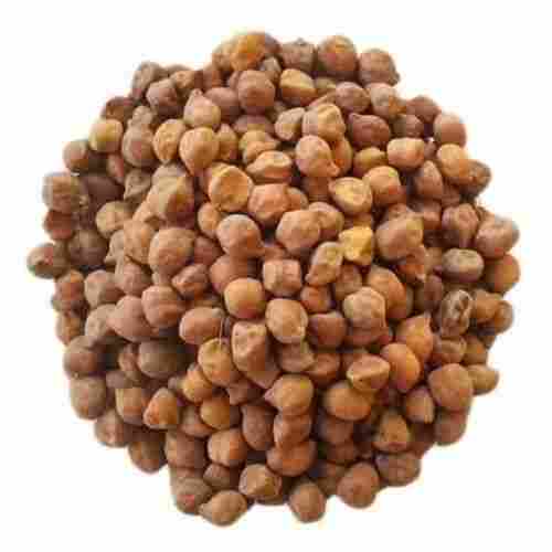 Shape Slightly Round Irregular Chickpea Grain Size Medium Common Dried Whole Chana