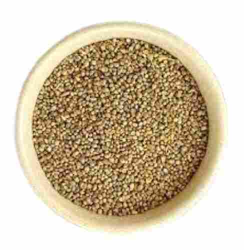 Healthy Common Cultivated Pure Natural A-Grade Dried Pearl Millet