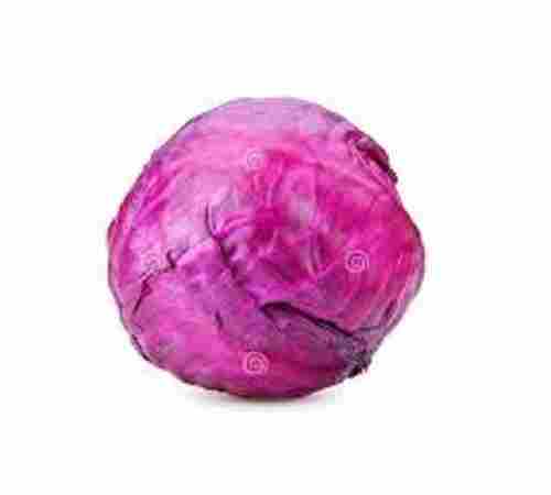 A Grade Healthy Round Shape Red Cabbage