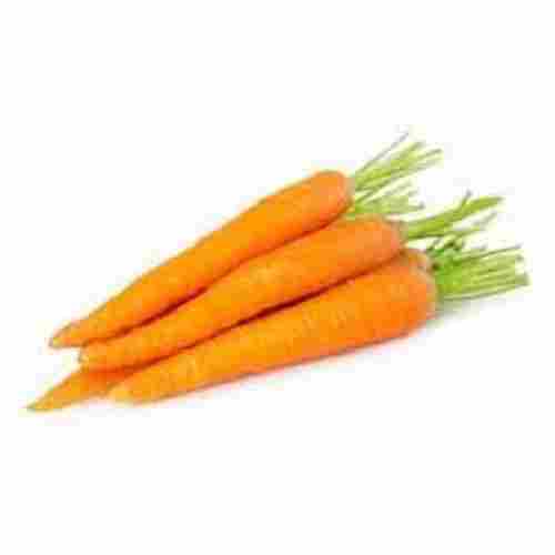 Long Shape Naturally Grown Fresh Carrot