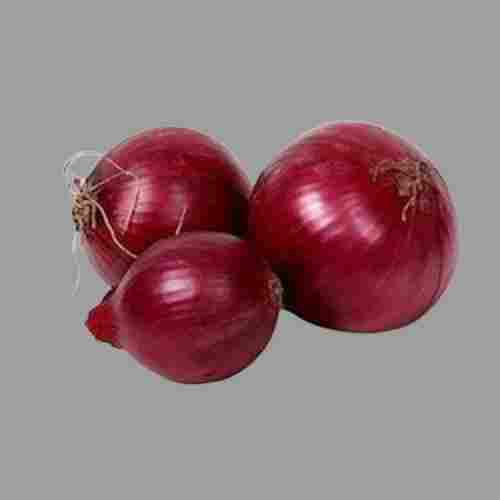 Farm Fresh Round Shape And Raw Processing Form Natural Red Onions