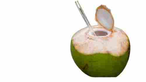 Naturally Grown Indian Origin Sweet Taste Green Tender Coconut