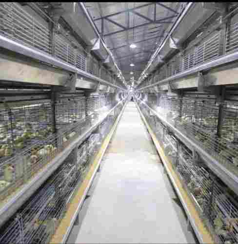 H Type Chick Cum Grower Battery Cages For Commercial Poultry Farm