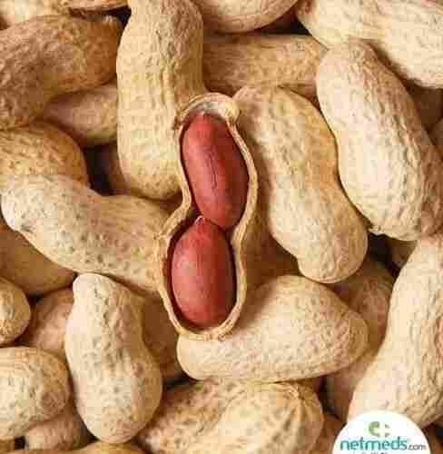 Premium Harvest Select Gourmet Groundnut Peanut Seeds