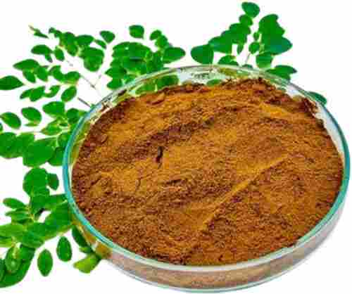 Moringa Oleifera (Drum Stick) Leaf Extract Powder