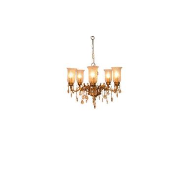 Transitional 5 Lights Cast Brass Chandelier With Floral Etched Glass Shades