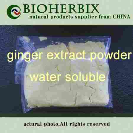 Water Soluble Ginger Extract