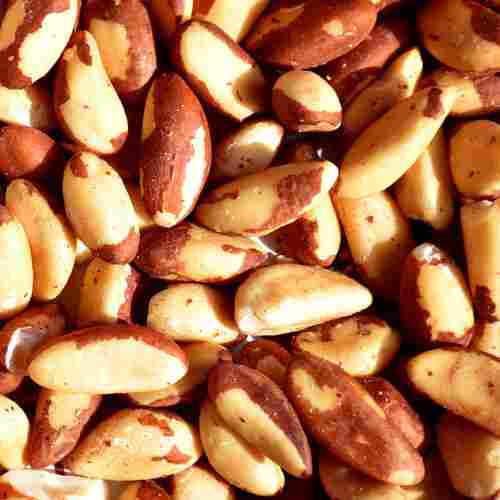 High Grade Brazil Nuts