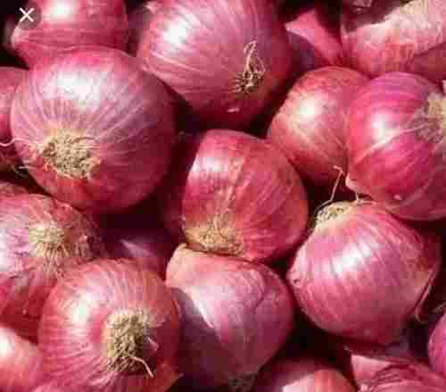 No Artificial Color No Added Preservatives Good For Health Rich In Nutrient Fresh Red Onion