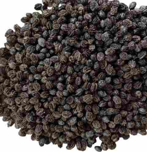 10 Gram Pure And Dried Commonly Cultivated Papaya Fruit Seed For Agriculture