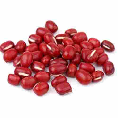 100% Pure Indian Originated Medium Sized Easily Digestible Fresh Adzuki Beans 