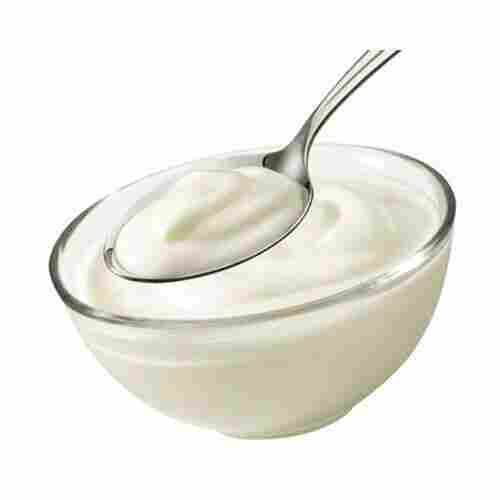 Healthy Rich In Protein High In Calcium Creamy Textured Milky Fresh Curd 