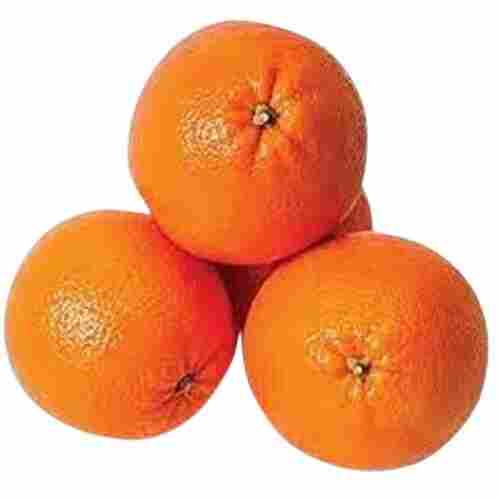 Round Shape Sweet Tasty Fresh Orange