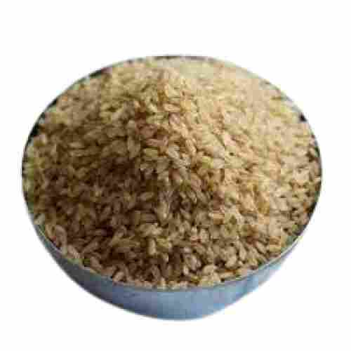 Indian Origin Common Cultivated Natural Healthy Dried Short Grain Matta Rice