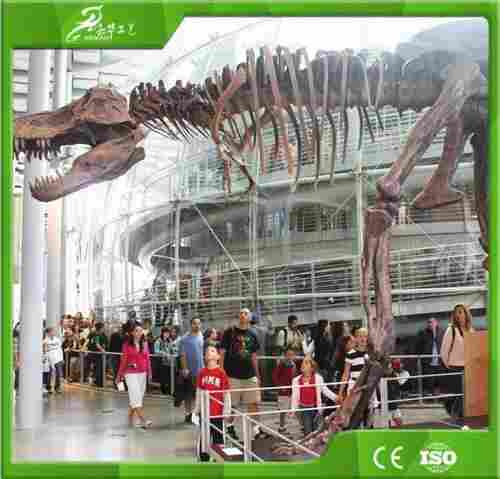 Kawah Full Size Fiberglass Dinosaur Skeleton