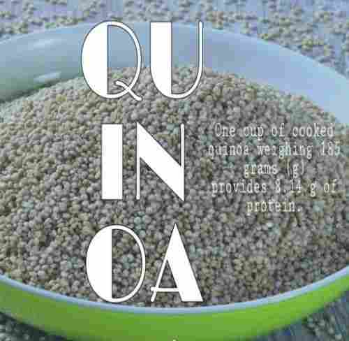 Gluten Free Quinoa Seed 50 Kg