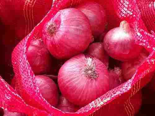 Natural and Fresh Big Size Red Onion