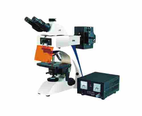 Fluorescence Microscopes with Color Corrected Infinity Optical System