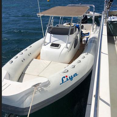 Liya 8.3M Cabin Rib Boat Yacht With Max Loading Of 1700Kg Capacity: 1700 Kg/Hr
