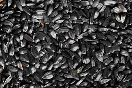 Natural Black Sunflower Seeds