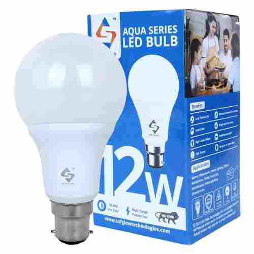 Energy Efficient 12 Watt LED Bulb