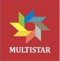 MULTISTAR MARINE AND SHIPPING SERVICES