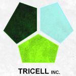 TRICELL INCORPORATION