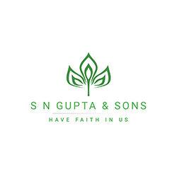 S N GUPTA AND SONS
