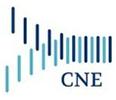 CNE Solutions Private Limited