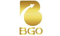 BGO CONSTRUCTION AND SERVICES LLP