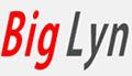 Biglyn Casting Technology Co.,ltd.