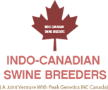 INDO CANADIAN SWINE BREEDERS