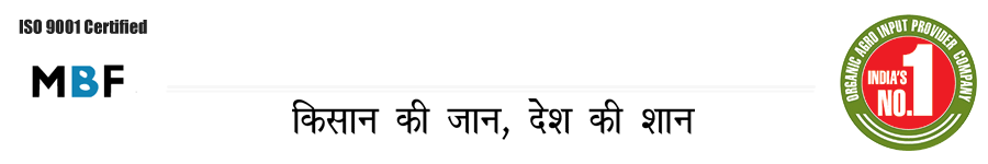 MAHARASHTRA BIOFERTILIZER INDIA PVT. LTD.