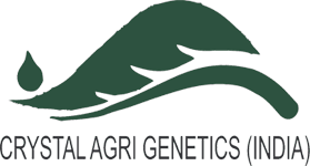 CRYSTAL AGRI GENETICS(INDIA)