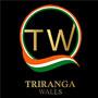 TRIRANGA WALLS