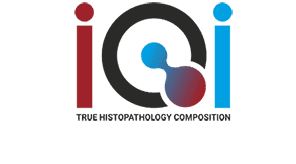 International Quality Instruments