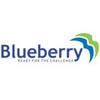 BLUEBERRY GLOBAL TRADING COMPANY