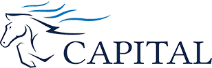 CAPITAL ORTHOPAEDIC PRIVATE LIMITED
