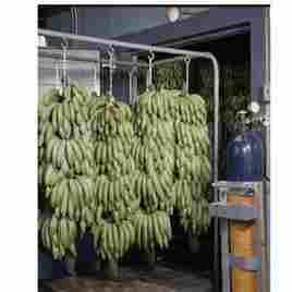 Banana Ripening Chamber In Faridabad Airtech Cooling Process Private Limited