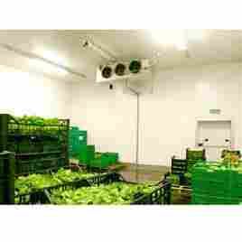 Vegetable Cold Storage Room 6